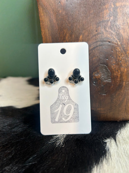 Black Onyx Earrings