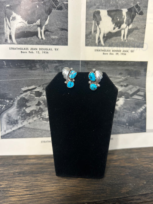 Turquoise Stud Earrings