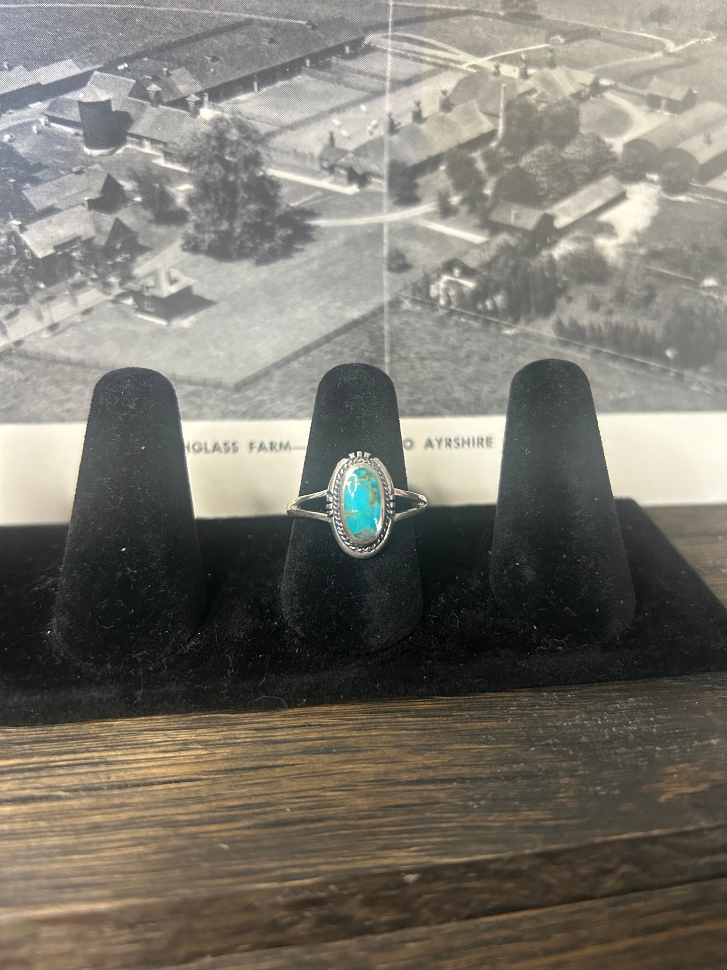 Simple Turquoise Ring