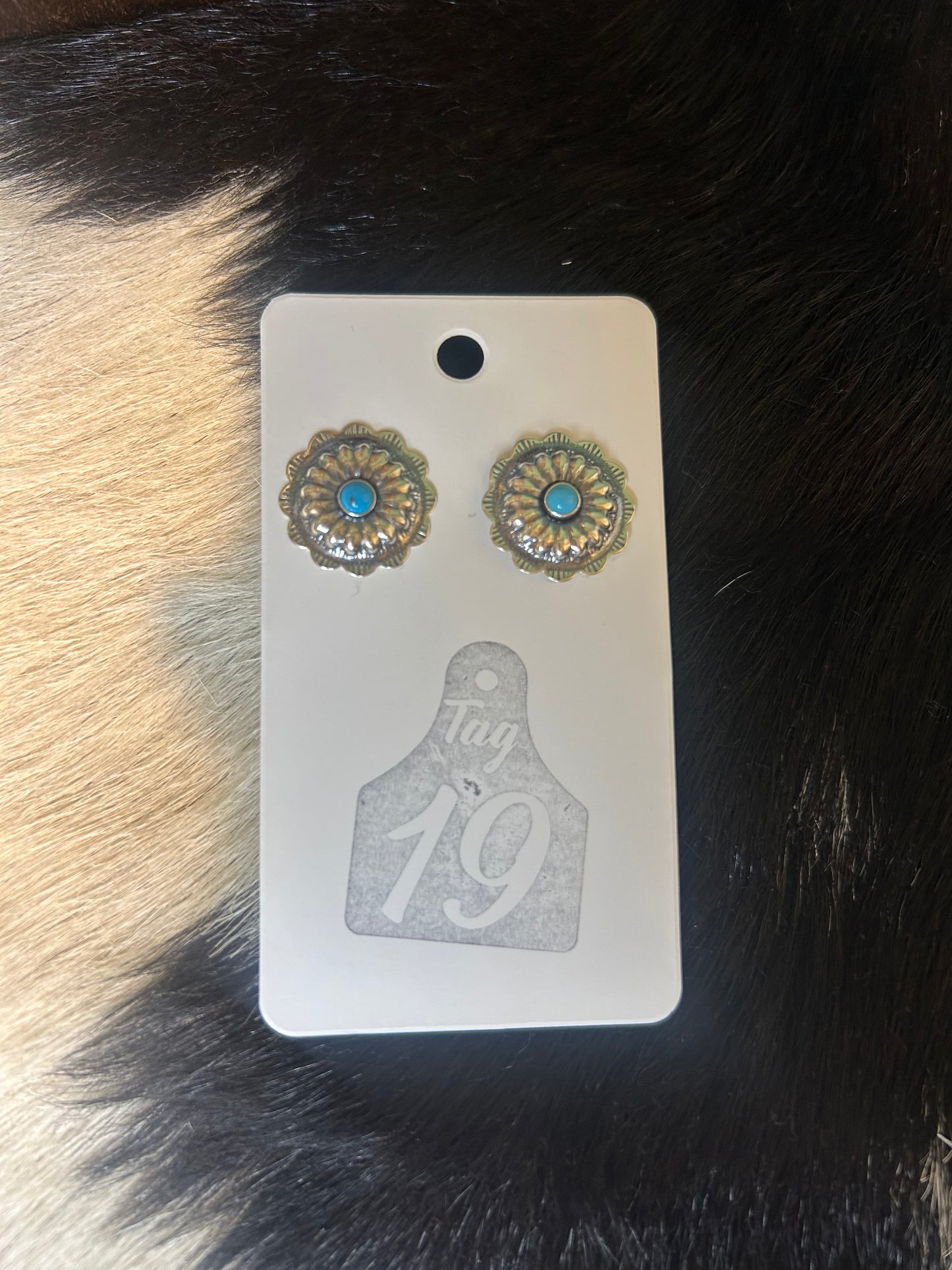 Everyday Concho Turquoise Studs